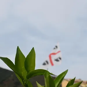 https://sa-mariposa-muravera.in-sardinia.net
